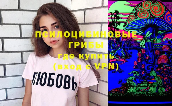 СК Медногорск